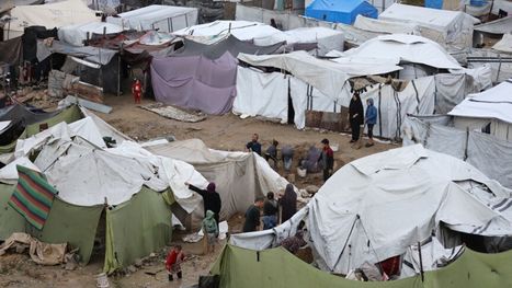 إيكونوميست: لا شيء يتحرك بحرية في غزة سوى الجرذان