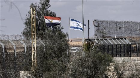 مصر في قلب المعركة مصر في قلب المعركة