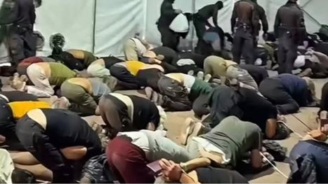 عضو كنيست يشيد بمشاهد تنكيل بن غفير بنشطاء الأسطول