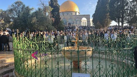 140 ألف فلسطيني يؤدون صلاة عيد الأضحى في الأقصى (شاهد)