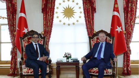 لقاء يجمع أردوغان ونائب رئيس الإمارات في إسطنبول