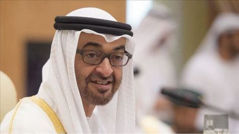 وثيقة ولاء لـ"بن زايد".. الإمارات تدعو المواطنين و