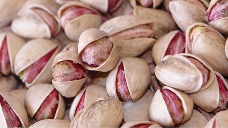 دراسة مثيرة عن فوائد تناول الفستق الحلبي ليلا على صحة الأمعاء
