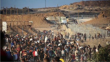 AP: مسلحون أمريكيون في "مؤسسة غزة الإنسانية" يطلقون النار على الفلسطينيين