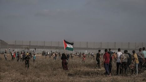 أيرلندا: ما نشهده في غزة يرقى لمستوى انتهاكات صارخة للقانون الدولي