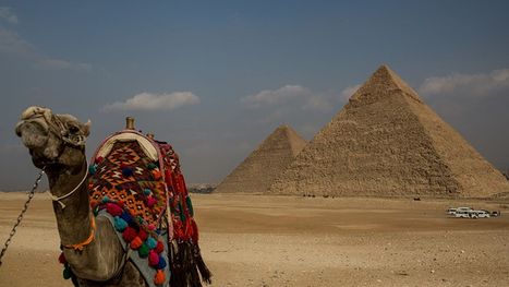 مصر ضمن الـ10 الكبار اقتصاديا: رؤية إسلامية لنهضة اقتصادية شاملة (37)