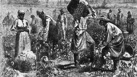 الأمم المتحدة تعتمد قرارا تاريخيا يدين تجارة الرقيق عبر الأطلسي والدول الغربية تعترض