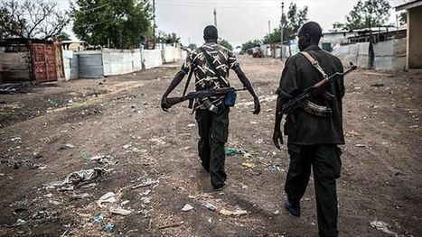 هيئة سوادنية تعلن عن 25 ألف قتيل في دارفور.. وحرق 250 قرية