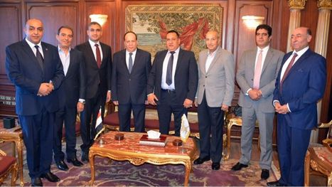 البلطجة المستأنسة في الحالة المصرية!