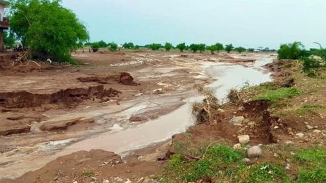 وفاة 13 شخصا جراء سيول جارفة ضربت تعز في اليمن ونداءات لانقاذ النازحين بمأرب