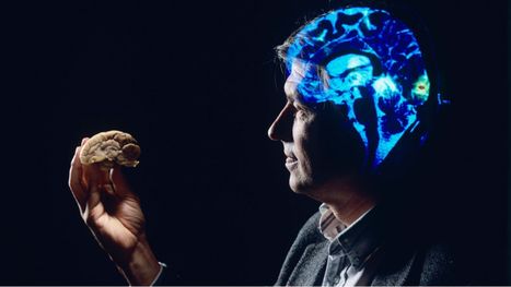 10 أطعمة ومشروبات قد تساعد على تحسين المزاج والتركيز