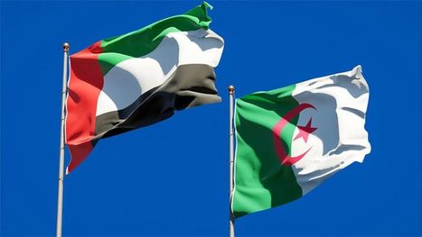 بعد قطع العلاقات.. الجزائر تفتح ملف الإمارات وشبكات الجريمة وغسل الأموال