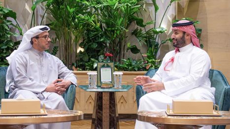 محمد بن سلمان يلتقي نائب رئيس الإمارات بالرياض