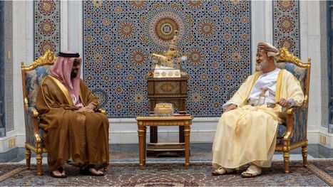 سلطان عمان يستقبل طحنون بن زايد .. بحثا سبل التهدئة وحماية أمن المنطقة