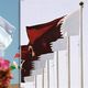 قطر والجزائر
