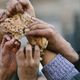 الفقر الجوع في مصر - يتقاسمون قطع خبز - تعبيرية