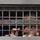 فلسطين اسرى أسرى معتقل معتقلون اعتقال