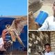 مصر   وفاة 3 مصريين خرجوا لصيد الصقور بالصحراء  فيسبوك