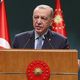 أردوغان يدعو لوقف الحرب في غزة.. الأناضول
