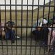 سجون مصر تعج بالمعتقلين السياسيين وسوء المعاملة - أ ف ب