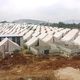 مخيم الإنماء - لاجئين سوريين - عكار - شمال لبنان