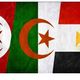 الجزائر ومصر وتونس (أعلام)