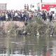 مصر حادث حافلة تسقط في ترعة- الانضاول