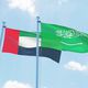 علم السعودية و الامارات