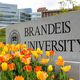جامعة برانديز . فيسبوك