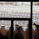 محطة طاقة لتوليد الكهرباء بالطاقة الشمسية - ابو ظبي - أ ف ب
