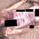انتهاكات السجون السورية والقتلى - صور تظهر قتلى مجازر في السجون السورية جراء التعذيب  - الاناضول  (1