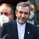 كبير المفاوضين الإيرانيين في محادثات فيينا حول الاتفاق النووي، علي باقري كني- ارنا