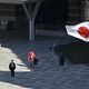 علم اليابان- الأناضول