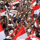 ثورة 25 يناير في مصر (الأناضول)