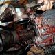 كاميرا صحفي مع دماء - سورية