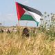 فلسطين أرض