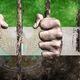 الإمارات حقوق الإنسان علم سجن عربي21