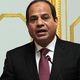 رئيس النظام المصري عبد الفتاح السيسي - الأناضول
