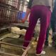 تجارة الحيوانات في الصين- سي بي أس