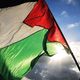 فلسطين.. العلم  (الأناضول)
