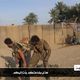 عامرية الفلوجة - تنظيم الدولة - العراق