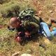 الجندي الإسرائيلي يعتقل الشاب بعد طعنه برأسه - فيس بوك