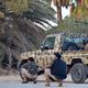 الجيش  ليبيا  حفتر  الحكومة طرابلس- تويتر
