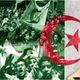 ذكرى ثورة التحرير الجزائرية.. الإذاعة الجزائرية
