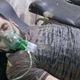 شخص تعرض لإصابة بالغاز السام في سوريا - أرشيفية