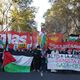مظاهرة فلسطين البرازيل- وكالة وفا