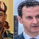 الأسد والبرهان  (عربي21)