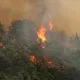 سوريا اللاذقية حرائق غابات- الاناضول