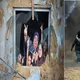 غزة العصية على الانكسار..  قراءة إسرائيلية وغربية لصمودها الأسطوري