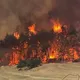 مساحات حرجية واسعة في غابات القدس التهمتها النيران- إكس